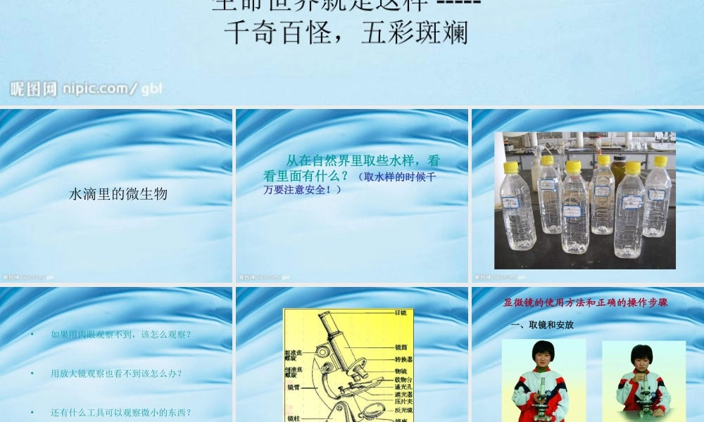 苏教小学科学六上《1.1．水滴里的生物》PPT课件(4)【加微信公众号 jiaoxuewuyou 九折优惠qq 1119139686】.ppt