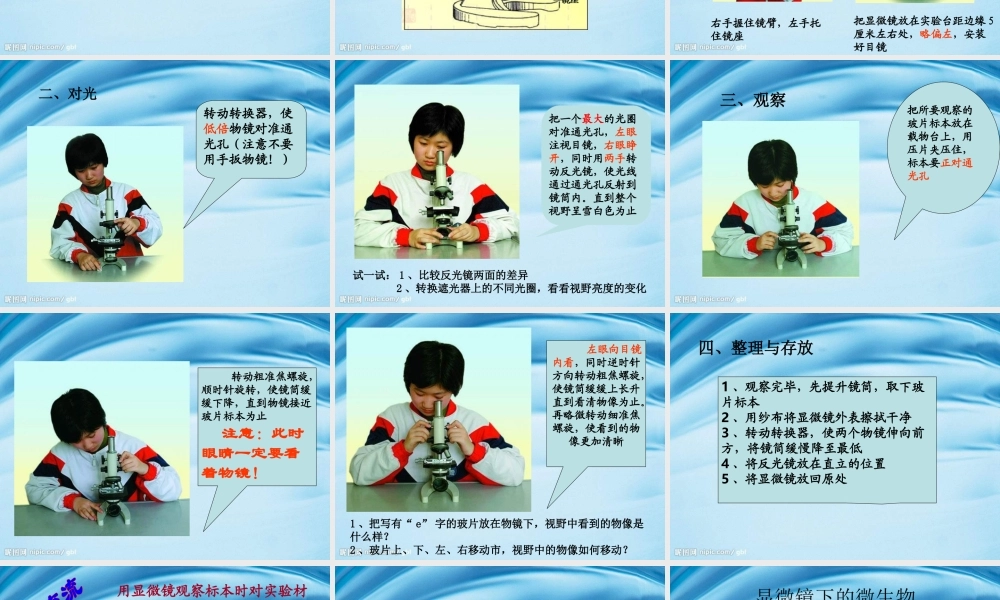 苏教小学科学六上《1.1．水滴里的生物》PPT课件(4)【加微信公众号 jiaoxuewuyou 九折优惠qq 1119139686】.ppt