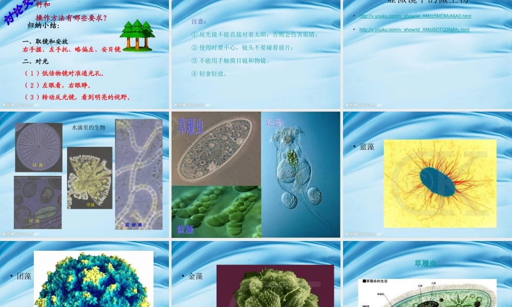 苏教小学科学六上《1.1．水滴里的生物》PPT课件(4)【加微信公众号 jiaoxuewuyou 九折优惠qq 1119139686】.ppt