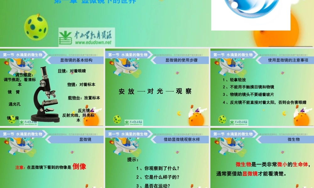 苏教小学科学六上《1.1．水滴里的生物》PPT课件(5)【加微信公众号 jiaoxuewuyou 九折优惠qq 1119139686】.ppt