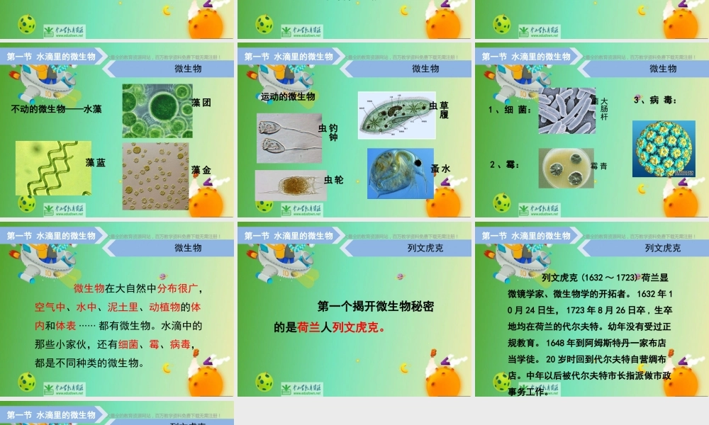 苏教小学科学六上《1.1．水滴里的生物》PPT课件(5)【加微信公众号 jiaoxuewuyou 九折优惠qq 1119139686】.ppt