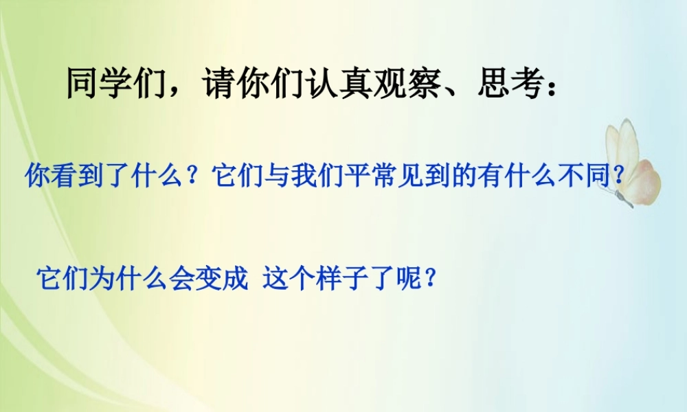 苏教小学科学六上《1.3．馒头发霉了》PPT课件(2)【加微信公众号 jiaoxuewuyou 九折优惠qq 1119139686】.ppt