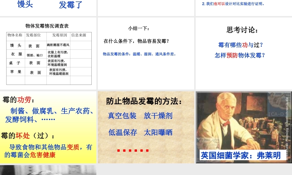 苏教小学科学六上《1.3．馒头发霉了》PPT课件(2)【加微信公众号 jiaoxuewuyou 九折优惠qq 1119139686】.ppt