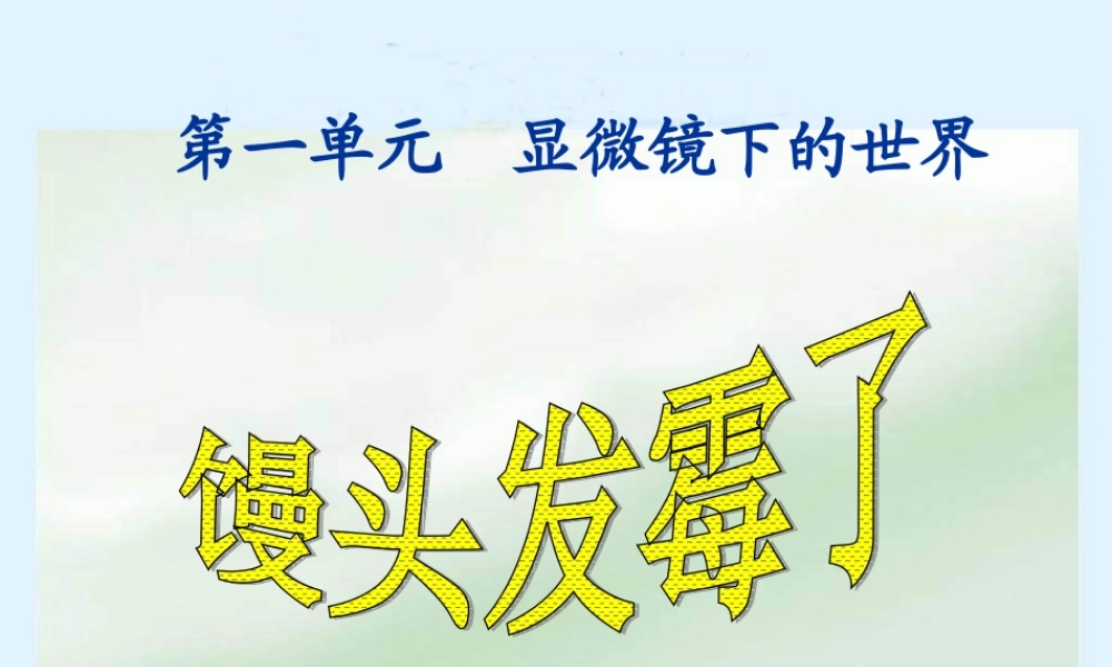 苏教小学科学六上《1.3．馒头发霉了》PPT课件(4)【加微信公众号 jiaoxuewuyou 九折优惠qq 1119139686】.ppt