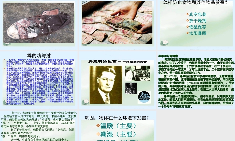 苏教小学科学六上《1.3．馒头发霉了》PPT课件(4)【加微信公众号 jiaoxuewuyou 九折优惠qq 1119139686】.ppt