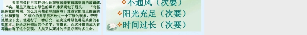 苏教小学科学六上《1.3．馒头发霉了》PPT课件(4)【加微信公众号 jiaoxuewuyou 九折优惠qq 1119139686】.ppt