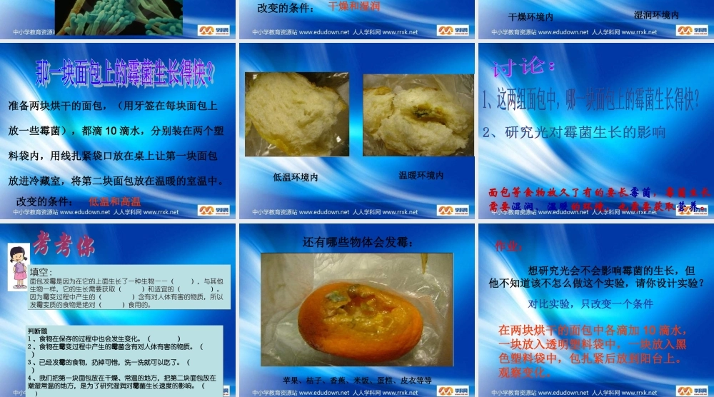 苏教小学科学六上《1.3．馒头发霉了》PPT课件(10)【加微信公众号 jiaoxuewuyou 九折优惠qq 1119139686】.ppt