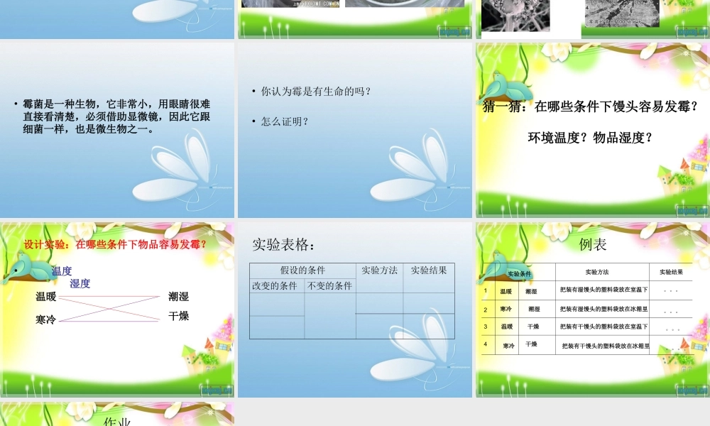 苏教小学科学六上《1.3．馒头发霉了》PPT课件(1)【加微信公众号 jiaoxuewuyou 九折优惠qq 1119139686】.ppt