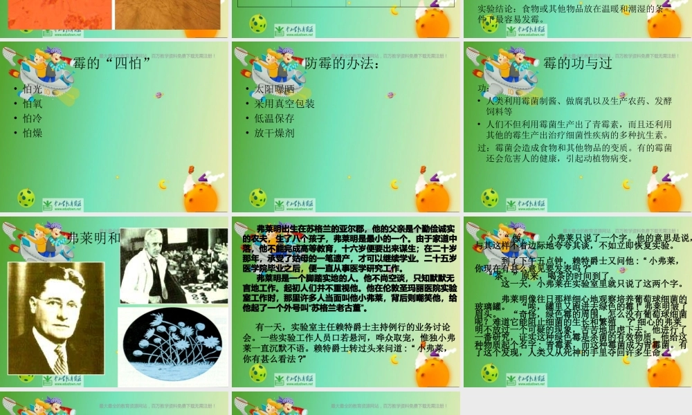苏教小学科学六上《1.3．馒头发霉了》PPT课件(5)【加微信公众号 jiaoxuewuyou 九折优惠qq 1119139686】.ppt
