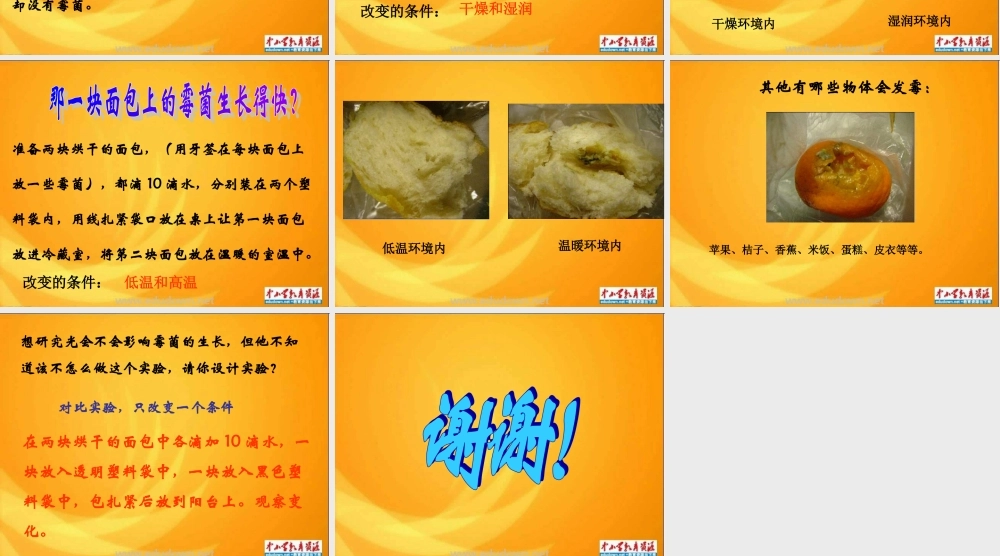苏教小学科学六上《1.3．馒头发霉了》PPT课件(9)【加微信公众号 jiaoxuewuyou 九折优惠qq 1119139686】.ppt