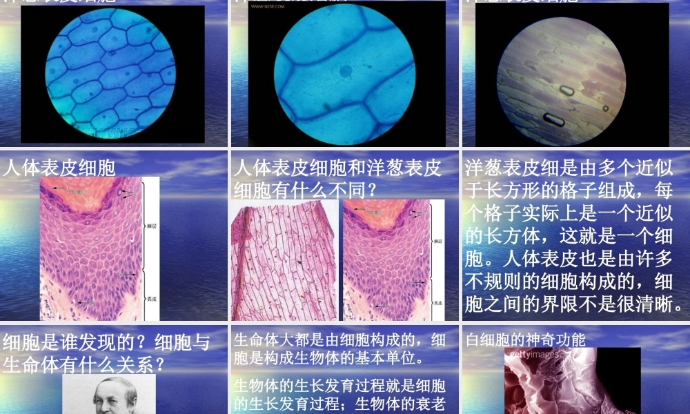 苏教小学科学六上《1.4．搭建生命体的“积木”》PPT课件(6)【加微信公众号 jiaoxuewuyou 九折优惠qq 1119139686】.ppt