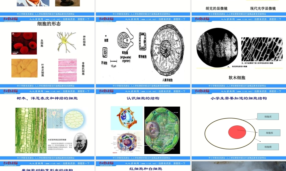 苏教小学科学六上《1.4．搭建生命体的“积木”》PPT课件(1)【加微信公众号 jiaoxuewuyou 九折优惠qq 1119139686】.ppt