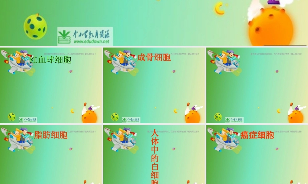 苏教小学科学六上《1.4．搭建生命体的“积木”》PPT课件(7)【加微信公众号 jiaoxuewuyou 九折优惠qq 1119139686】.ppt