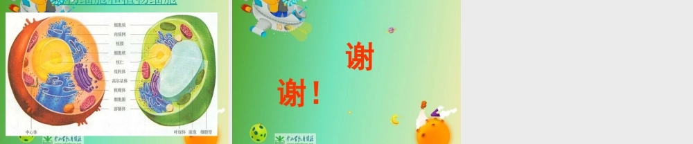 苏教小学科学六上《1.4．搭建生命体的“积木”》PPT课件(7)【加微信公众号 jiaoxuewuyou 九折优惠qq 1119139686】.ppt