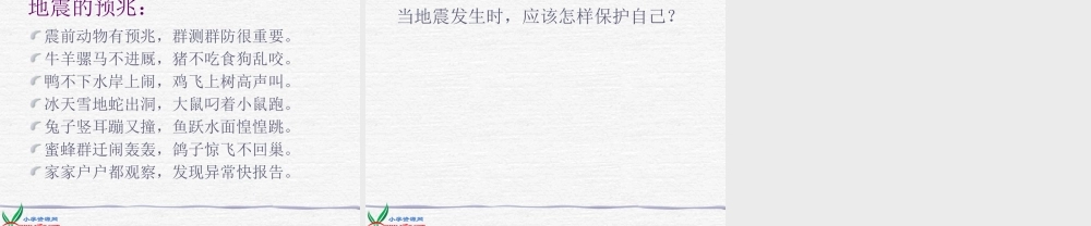 苏教小学科学六上《2.4.火山和地震》PPT课件 (5)【加微信公众号 jiaoxuewuyou 九折优惠qq 1119139686】.ppt