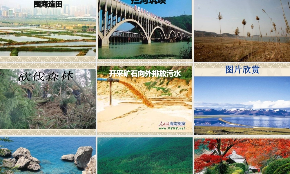 苏教小学科学六上《2.5.地表的变迁》PPT课件 (9)【加微信公众号 jiaoxuewuyou 九折优惠qq 1119139686】.ppt