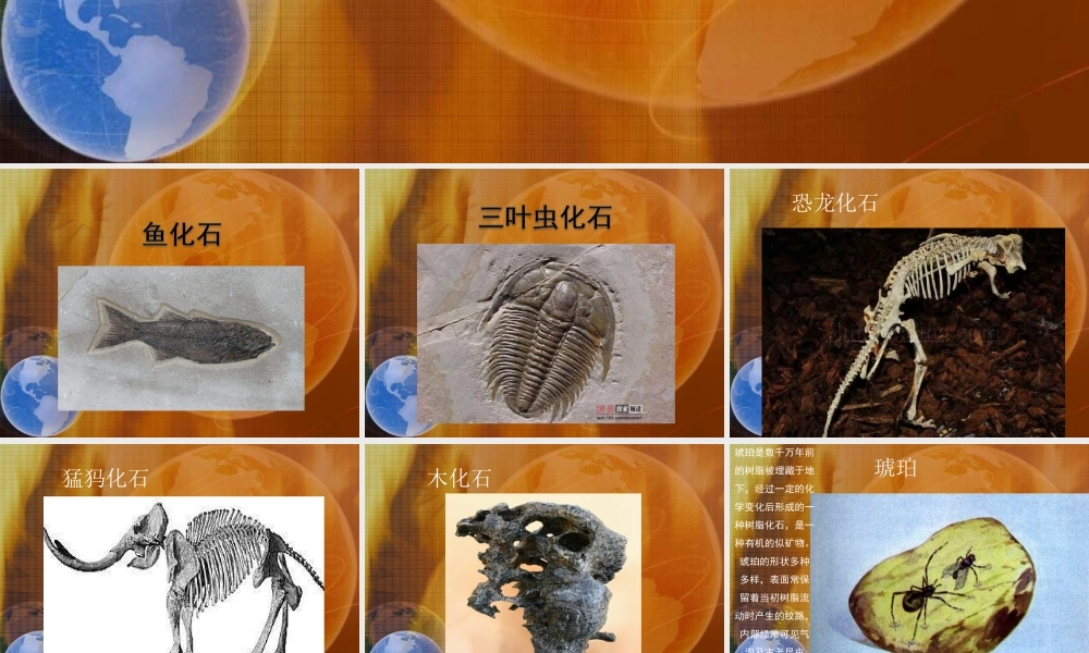 苏教小学科学六上《2.5.地表的变迁》PPT课件 (6)【加微信公众号 jiaoxuewuyou 九折优惠qq 1119139686】.ppt