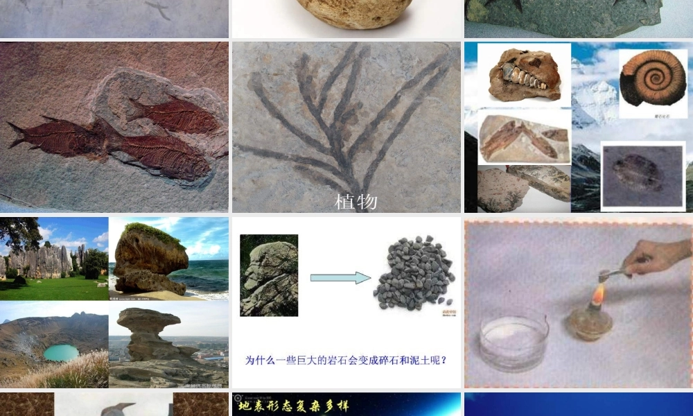 苏教小学科学六上《2.5.地表的变迁》PPT课件 (4)【加微信公众号 jiaoxuewuyou 九折优惠qq 1119139686】.ppt