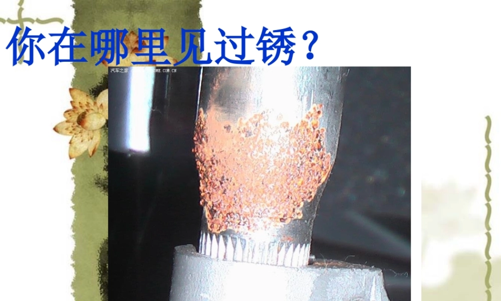 苏教小学科学六上《3.2、铁钉生锈了》PPT课件(4)【加微信公众号 jiaoxuewuyou 九折优惠qq 1119139686】.ppt