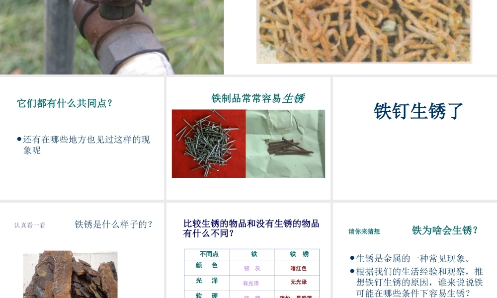 苏教小学科学六上《3.2、铁钉生锈了》PPT课件(3)【加微信公众号 jiaoxuewuyou 九折优惠qq 1119139686】.ppt