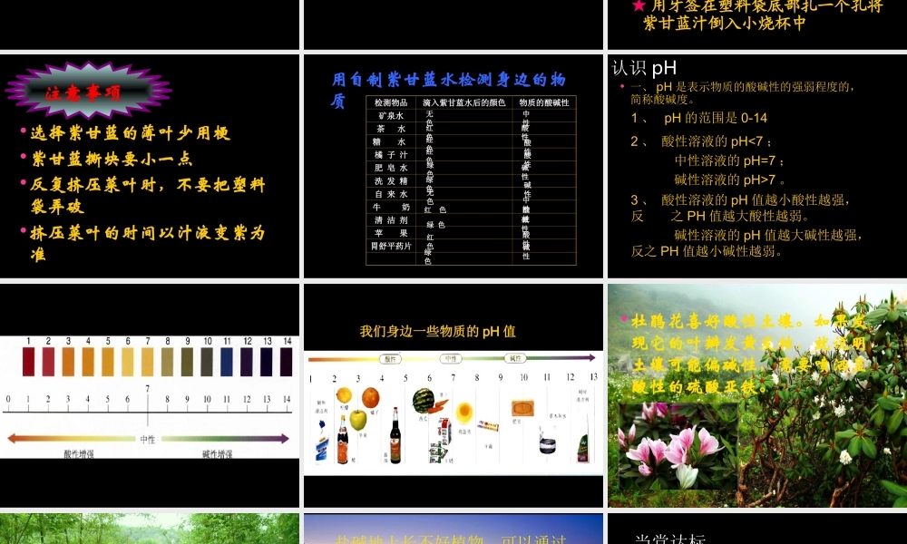 苏教小学科学六上《3.3、变色花》PPT课件(5)【加微信公众号 jiaoxuewuyou 九折优惠qq 1119139686】.ppt