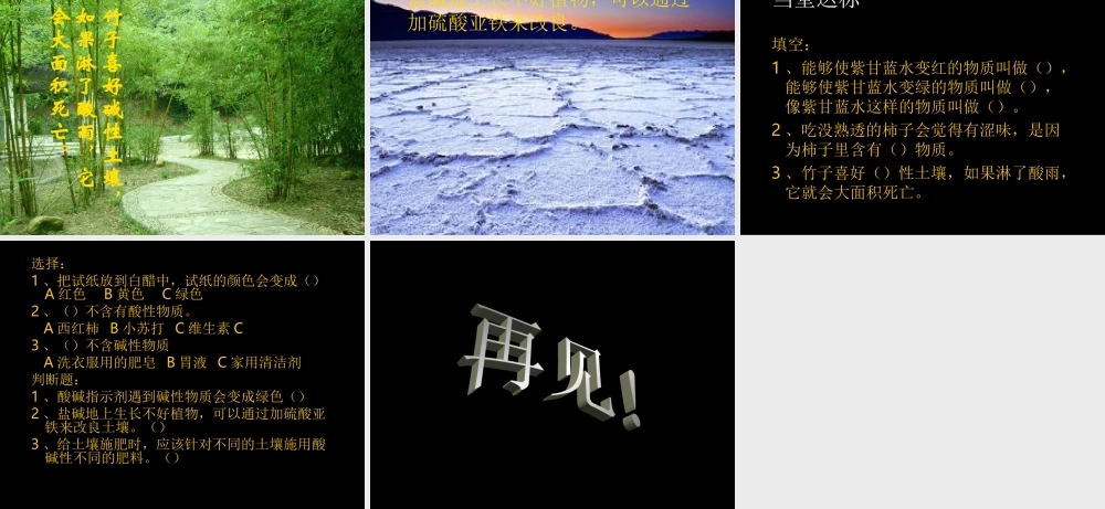 苏教小学科学六上《3.3、变色花》PPT课件(5)【加微信公众号 jiaoxuewuyou 九折优惠qq 1119139686】.ppt