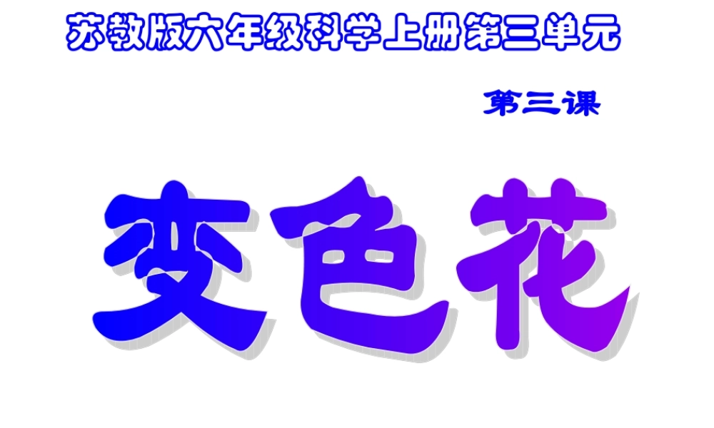 苏教小学科学六上《3.3、变色花》PPT课件(6)【加微信公众号 jiaoxuewuyou 九折优惠qq 1119139686】.ppt