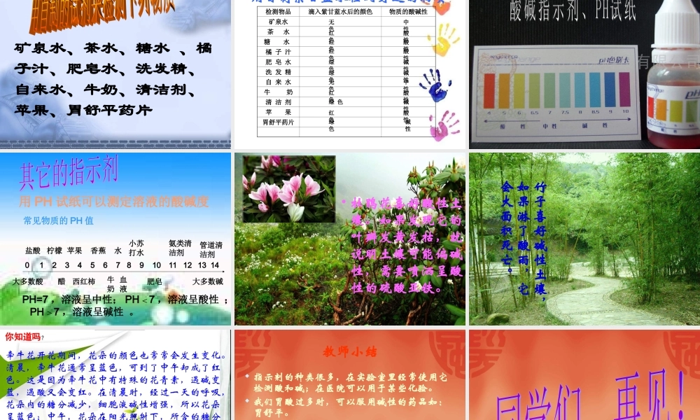 苏教小学科学六上《3.3、变色花》PPT课件(6)【加微信公众号 jiaoxuewuyou 九折优惠qq 1119139686】.ppt