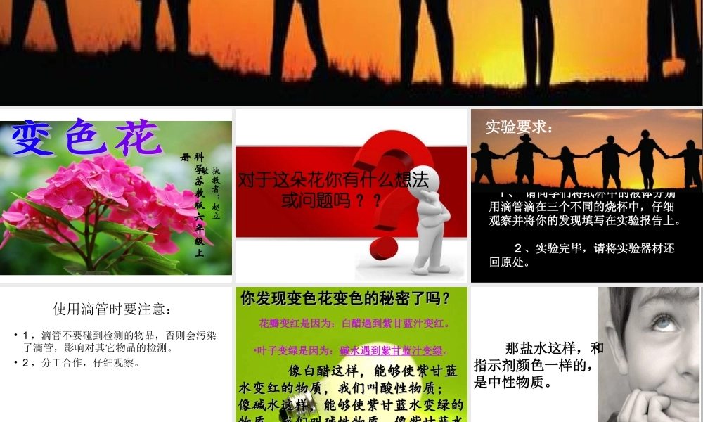 苏教小学科学六上《3.3、变色花》PPT课件(4)【加微信公众号 jiaoxuewuyou 九折优惠qq 1119139686】.ppt