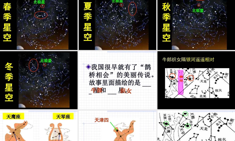苏教小学科学六上《4.3．看星座》PPT课件(5)【加微信公众号 jiaoxuewuyou 九折优惠qq 1119139686】.ppt