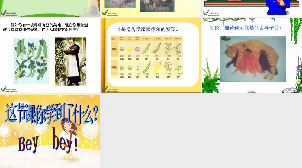 苏教小学科学六下《2.1．生物的遗传现象》PPT课件(1)【加微信公众号 jiaoxuewuyou 九折优惠qq 1119139686】.ppt