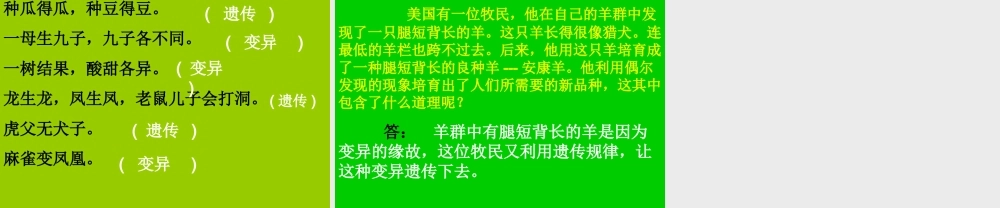 苏教小学科学六下《2.2．生物的变异现象》PPT课件(8)【加微信公众号 jiaoxuewuyou 九折优惠qq 1119139686】.ppt