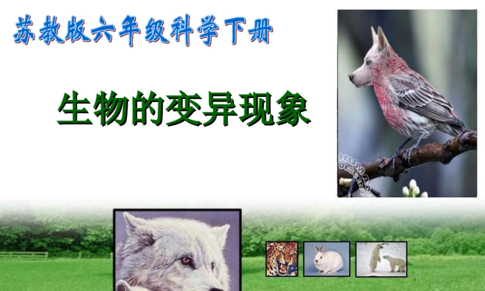 苏教小学科学六下《2.2．生物的变异现象》PPT课件(5)【加微信公众号 jiaoxuewuyou 九折优惠qq 1119139686】.ppt