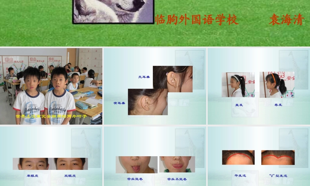 苏教小学科学六下《2.2．生物的变异现象》PPT课件(5)【加微信公众号 jiaoxuewuyou 九折优惠qq 1119139686】.ppt