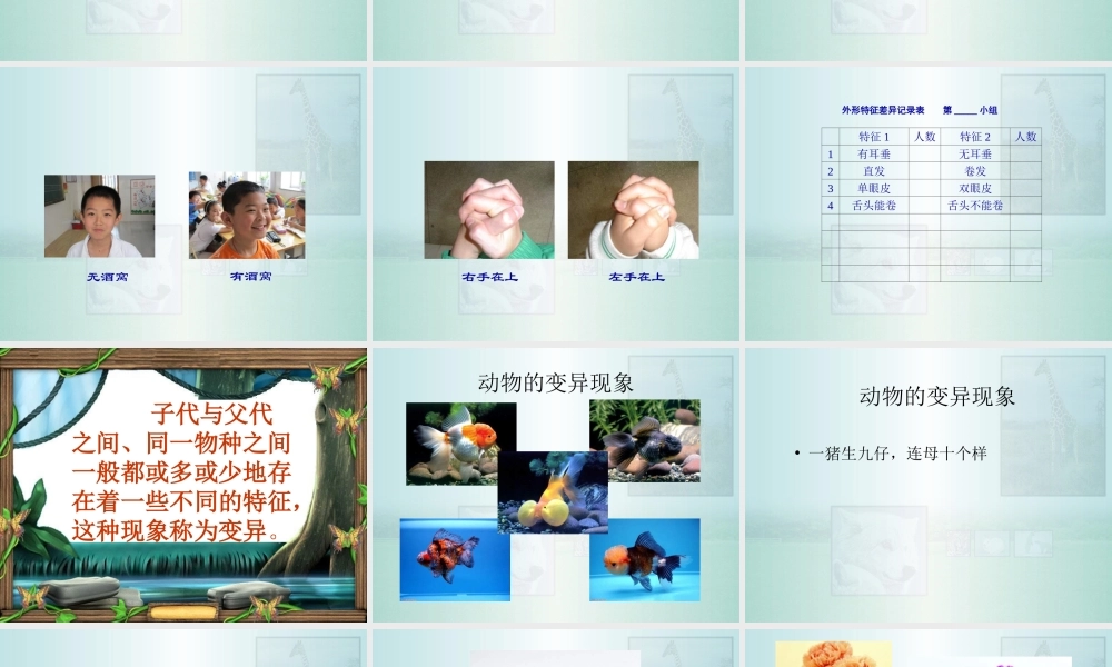 苏教小学科学六下《2.2．生物的变异现象》PPT课件(5)【加微信公众号 jiaoxuewuyou 九折优惠qq 1119139686】.ppt
