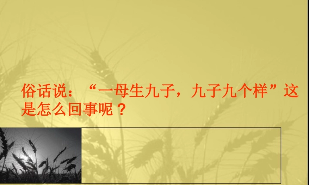 苏教小学科学六下《2.2．生物的变异现象》PPT课件(9)【加微信公众号 jiaoxuewuyou 九折优惠qq 1119139686】.ppt