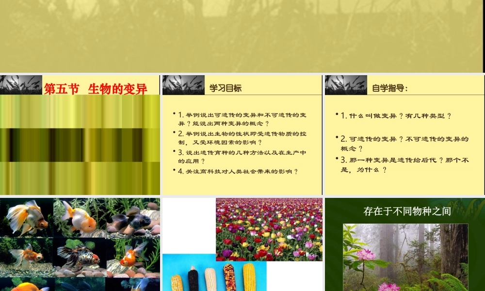 苏教小学科学六下《2.2．生物的变异现象》PPT课件(9)【加微信公众号 jiaoxuewuyou 九折优惠qq 1119139686】.ppt