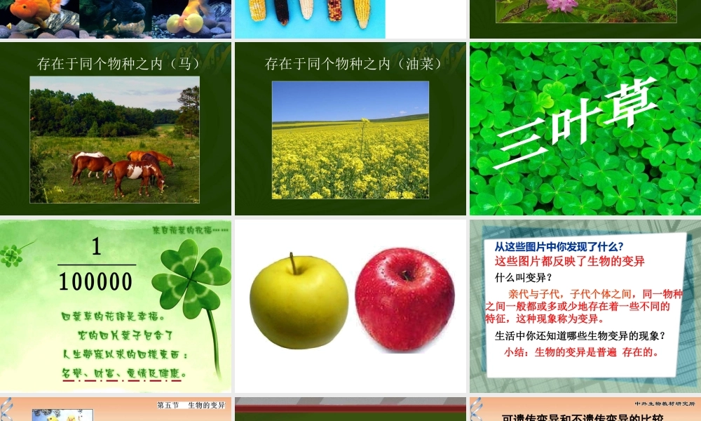苏教小学科学六下《2.2．生物的变异现象》PPT课件(9)【加微信公众号 jiaoxuewuyou 九折优惠qq 1119139686】.ppt