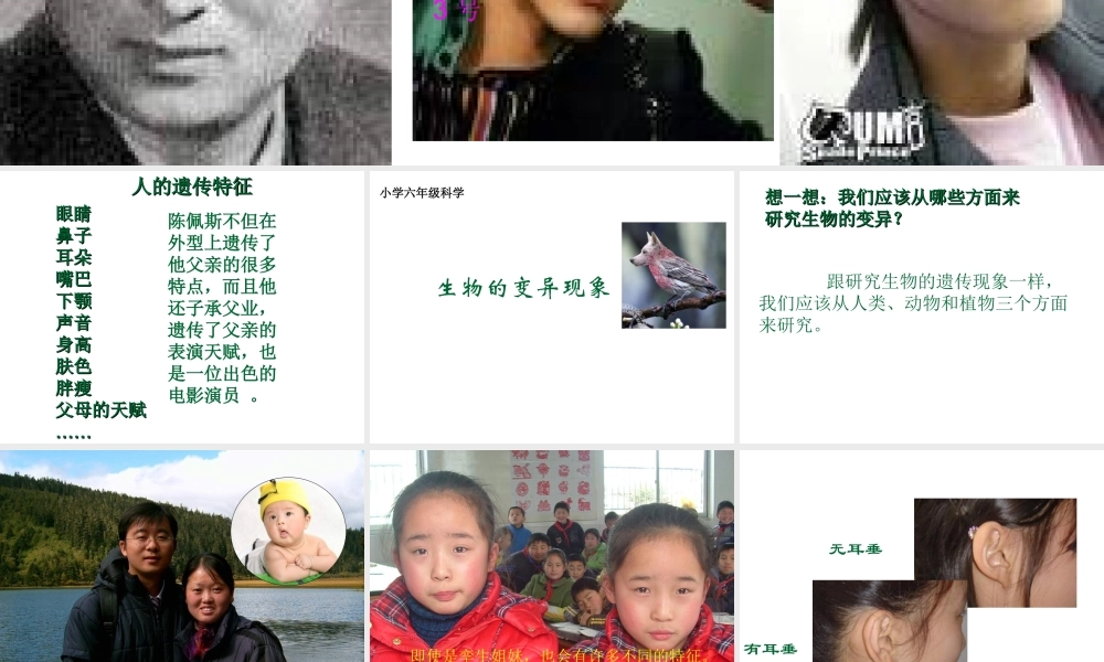 苏教小学科学六下《2.2．生物的变异现象》PPT课件(6)【加微信公众号 jiaoxuewuyou 九折优惠qq 1119139686】.ppt