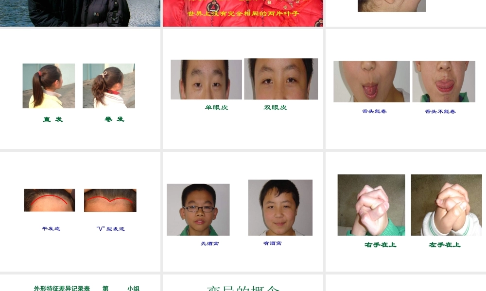 苏教小学科学六下《2.2．生物的变异现象》PPT课件(6)【加微信公众号 jiaoxuewuyou 九折优惠qq 1119139686】.ppt