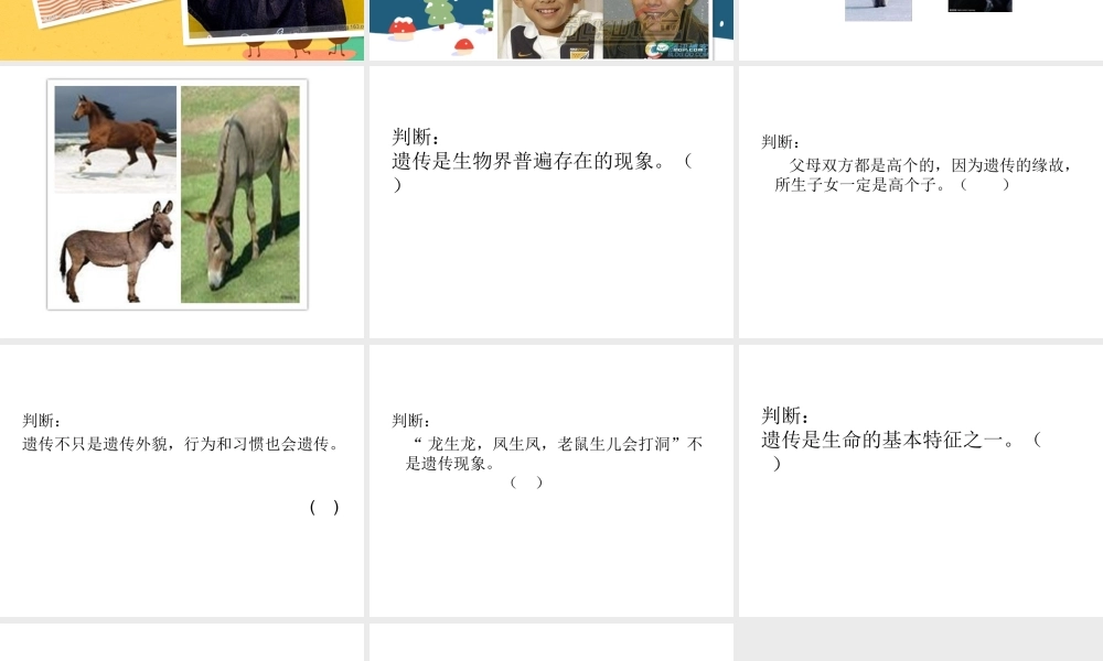 苏教小学科学六下《2.2．生物的变异现象》PPT课件(1)【加微信公众号 jiaoxuewuyou 九折优惠qq 1119139686】.ppt