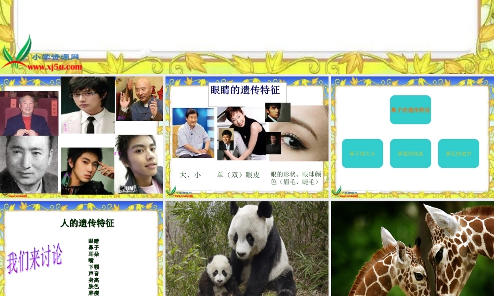 苏教小学科学六下《2.1．生物的遗传现象》PPT课件(4)【加微信公众号 jiaoxuewuyou 九折优惠qq 1119139686】.ppt