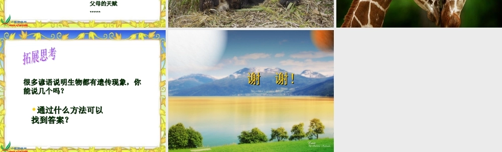 苏教小学科学六下《2.1．生物的遗传现象》PPT课件(4)【加微信公众号 jiaoxuewuyou 九折优惠qq 1119139686】.ppt