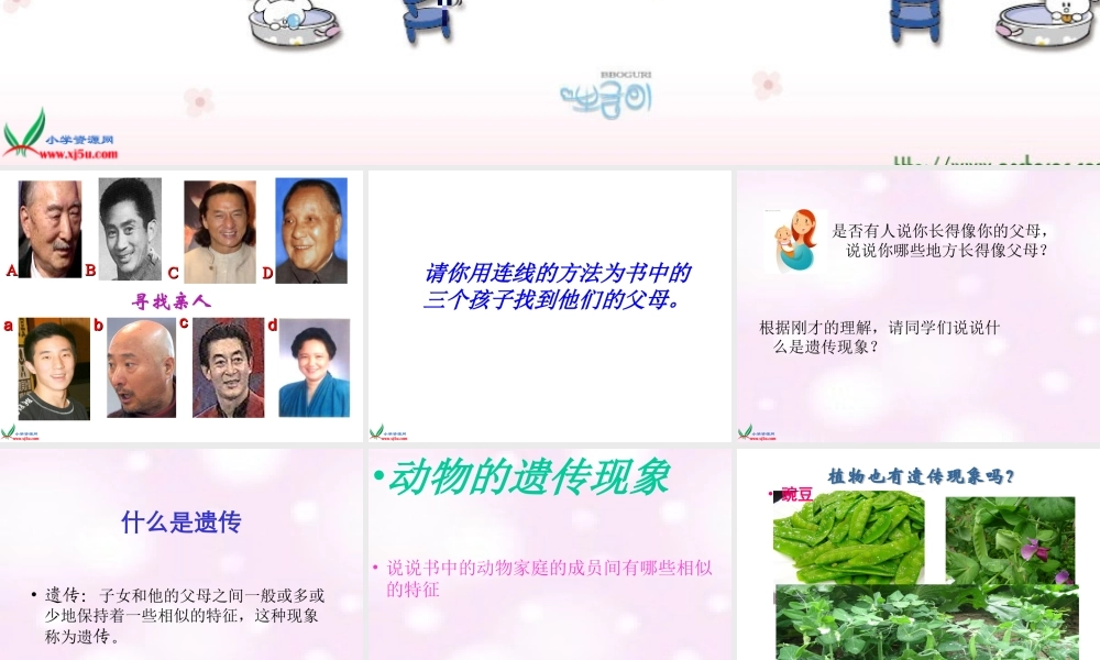 苏教小学科学六下《2.2．生物的变异现象》PPT课件(11)【加微信公众号 jiaoxuewuyou 九折优惠qq 1119139686】.ppt