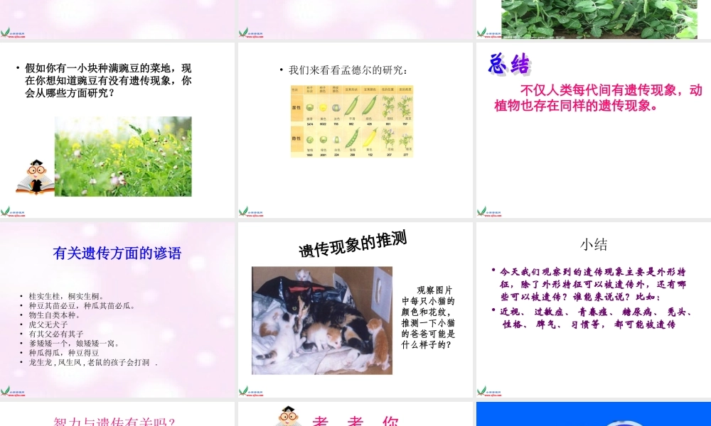 苏教小学科学六下《2.2．生物的变异现象》PPT课件(11)【加微信公众号 jiaoxuewuyou 九折优惠qq 1119139686】.ppt