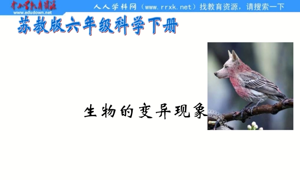 苏教小学科学六下《2.2．生物的变异现象》PPT课件(4)【加微信公众号 jiaoxuewuyou 九折优惠qq 1119139686】.ppt