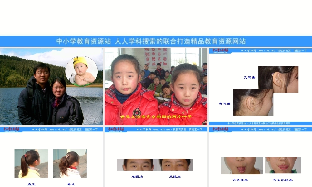 苏教小学科学六下《2.2．生物的变异现象》PPT课件(4)【加微信公众号 jiaoxuewuyou 九折优惠qq 1119139686】.ppt