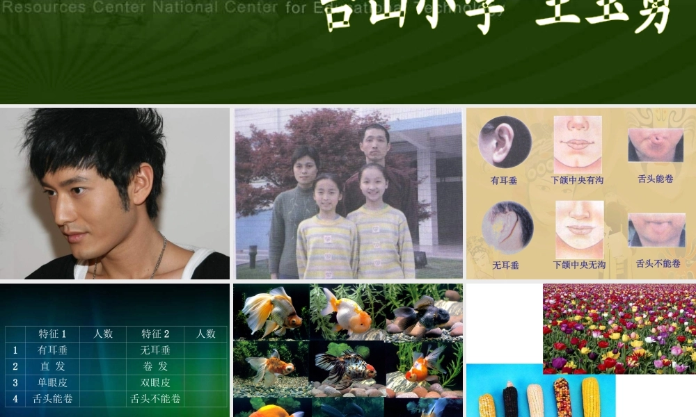 苏教小学科学六下《2.2．生物的变异现象》PPT课件(7)【加微信公众号 jiaoxuewuyou 九折优惠qq 1119139686】.ppt