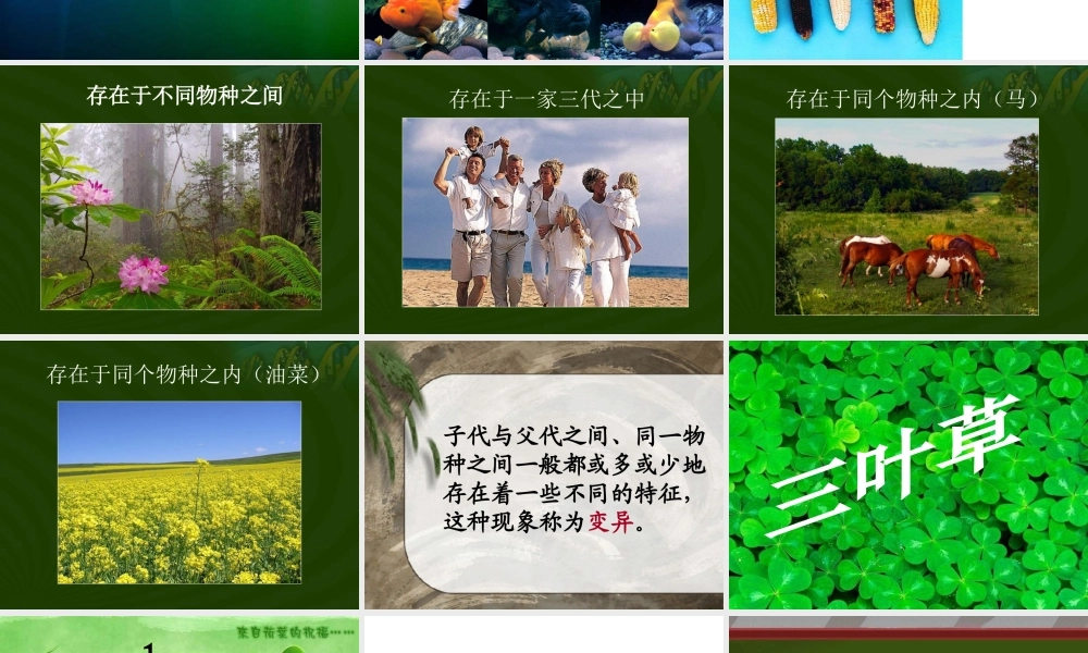 苏教小学科学六下《2.2．生物的变异现象》PPT课件(7)【加微信公众号 jiaoxuewuyou 九折优惠qq 1119139686】.ppt