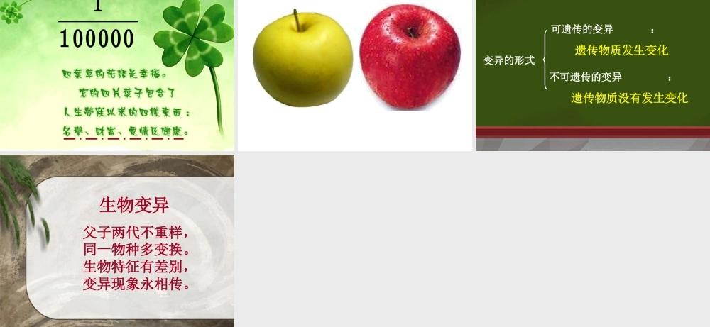 苏教小学科学六下《2.2．生物的变异现象》PPT课件(7)【加微信公众号 jiaoxuewuyou 九折优惠qq 1119139686】.ppt